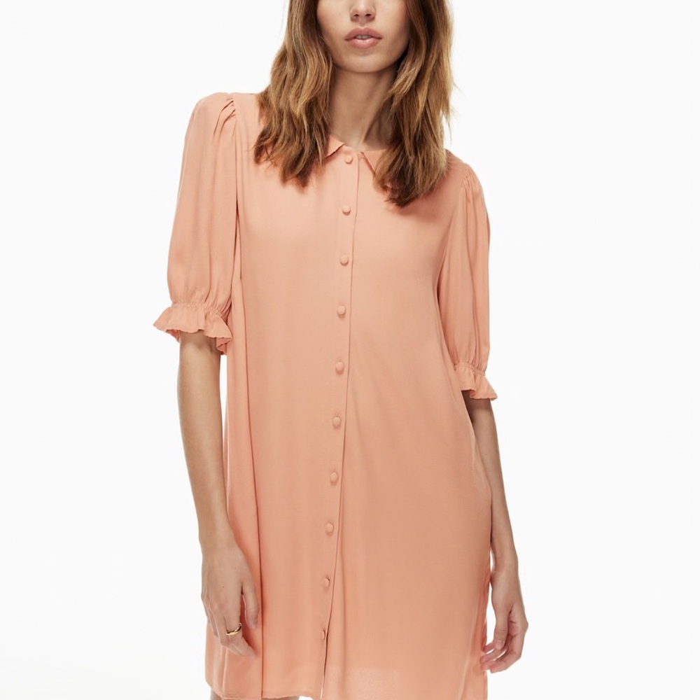 Aritzia Poppins Peach Button-Down Dress